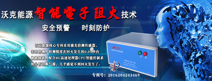 沃克能源電子阻火器.jpeg
